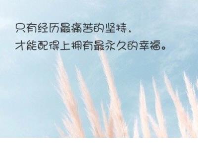 给老婆道歉的短信