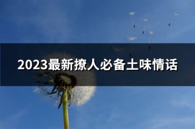 ​2023最新撩人必备土味情话(必备123句)