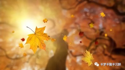 ​形容秋色美景唯美的句子 秋天高级唯美文案