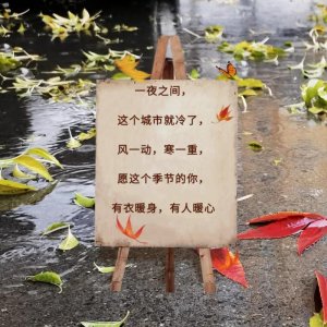 ​秋雨绵绵的唯美句子 文案