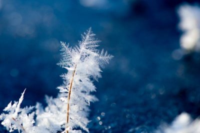 ​雪花飘落的唯美句子（30句雪花飘落意境诗句）