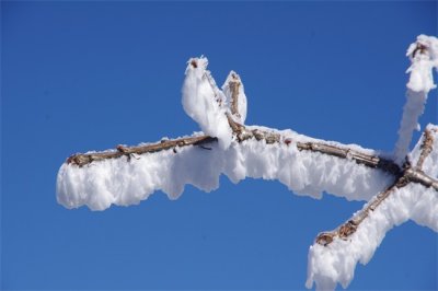 ​带雪花的唯美句子