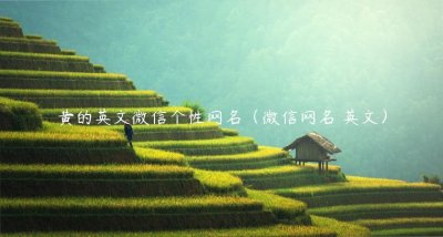 ​黄的英文微信个性网名（微信网名 英文）