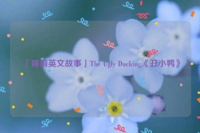 ​「睡前英文故事」The Ugly Ducking《丑小鸭》