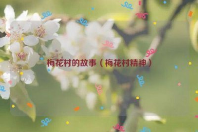 ​梅花村的故事（梅花村精神）