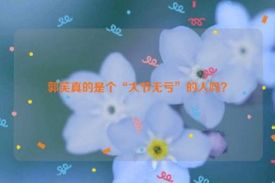 ​郭芙真的是个“大节无亏”的人吗？