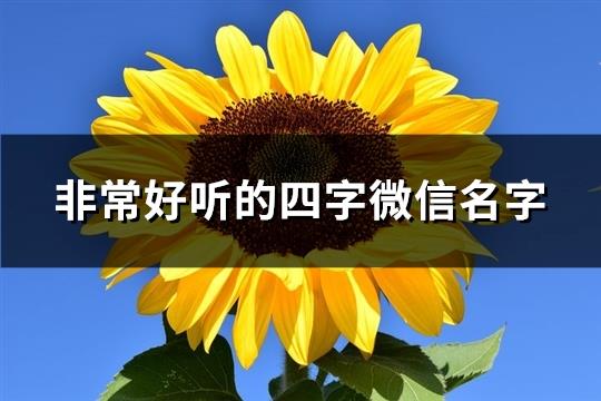 非常好听的四字微信名字(共1078个)