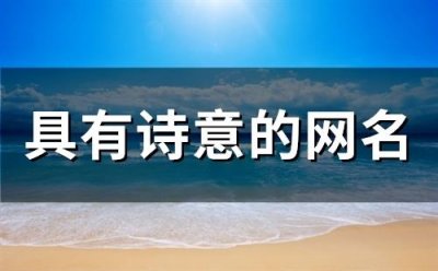 ​具有诗意的网名(精选301个)