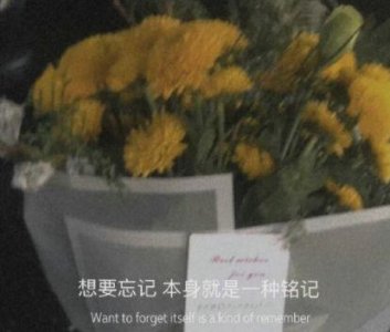 ​花园里,五颜六色的鲜花盛开了.把句子写得更生动