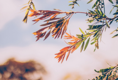 ​关于端午节的来历（端午节的由来和风俗故事）